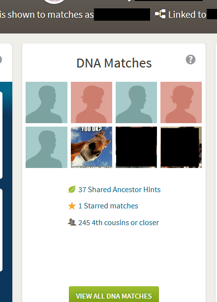 How to Access DNA Matches on Ancestry