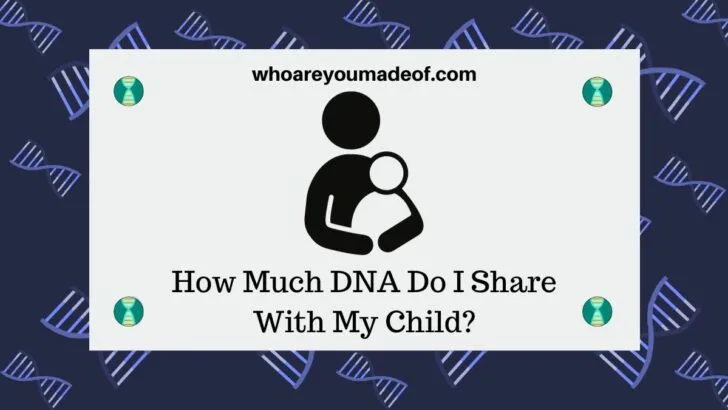 How Much DNA Do I Share With My Child?