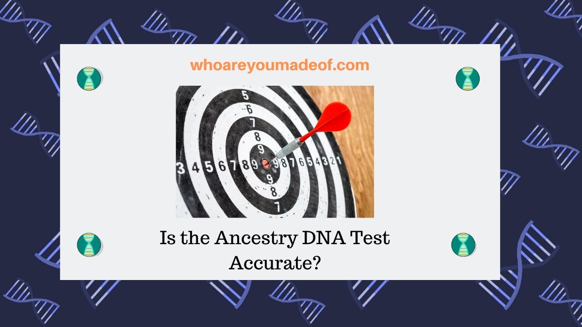 Is the Ancestry DNA Test Accurate? Who are You Made Of?