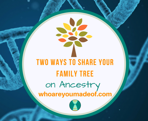 Two Ways to Share Your Family Tree on Ancestry_ How to Share Your Tree