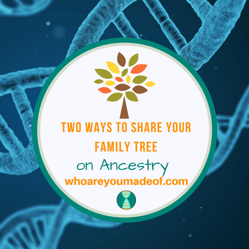 Two Ways to Share Your Family Tree on Ancestry_ How to Share Your Tree