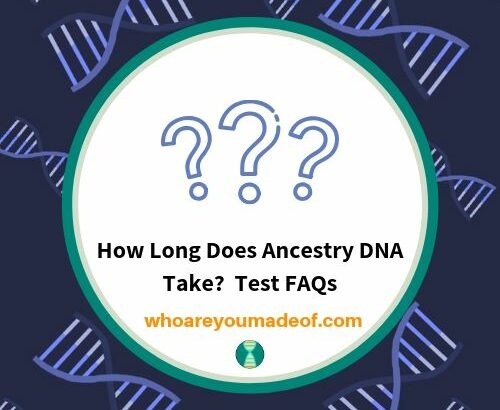 How Long Does Ancestry DNA Take_ Test FAQs