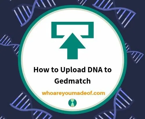 How to Upload DNA to Gedmatch