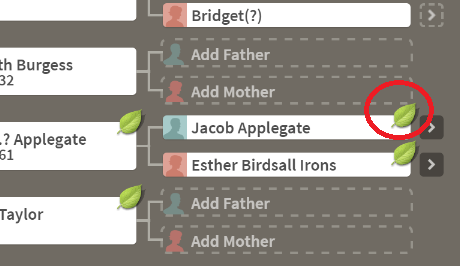 How to Find Ancestry Tree Hints