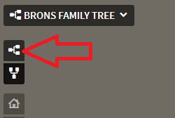 How to Switch From Family View to Pedigree View on Ancestry