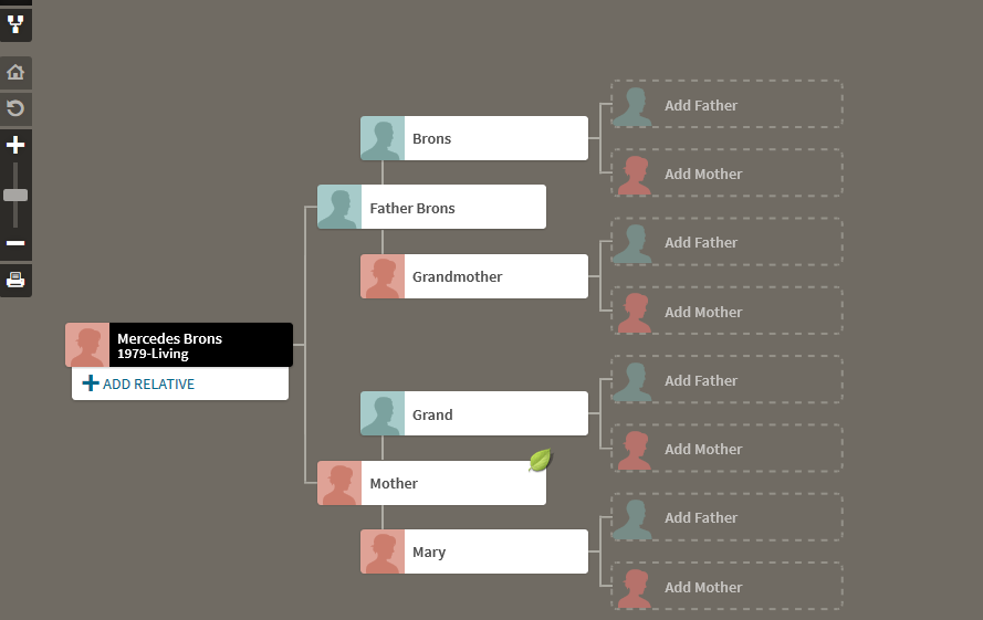 Family View Ancestry