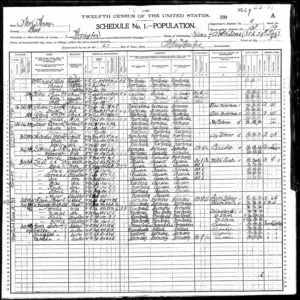 example of a census record that I shared with a distant cousin