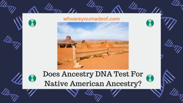 does-ancestry-dna-test-for-native-american-who-are-you-made-of