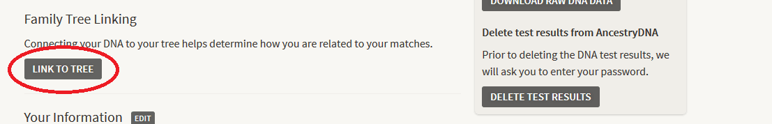 Where to click to link ancestry dna results to tree