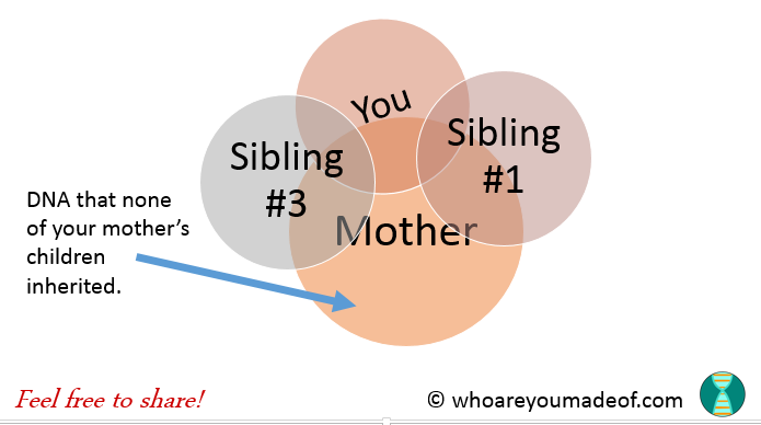 How DNA is Inheritd From Parents