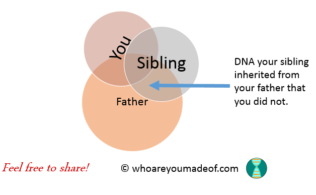 Why Does My Sibling Have DNA That I Don't Have