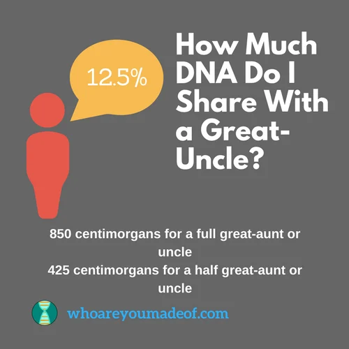 How Much DNA Do I Share with a Great Uncle?