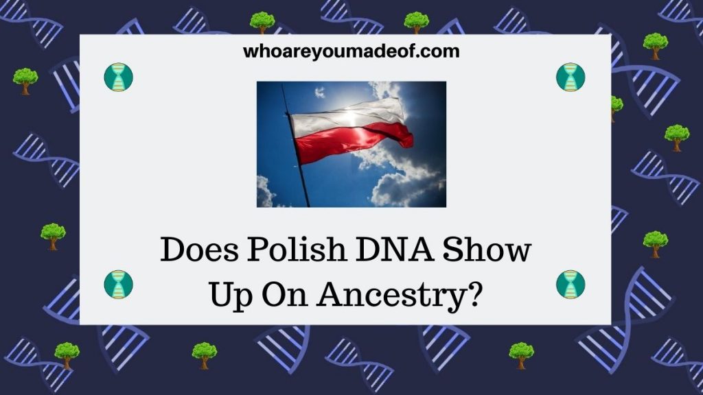 Does Polish DNA Show Up On Ancestry? - Who are You Made Of?