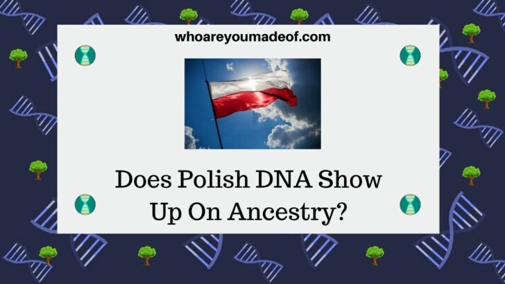 Does Polish DNA Show Up On Ancestry