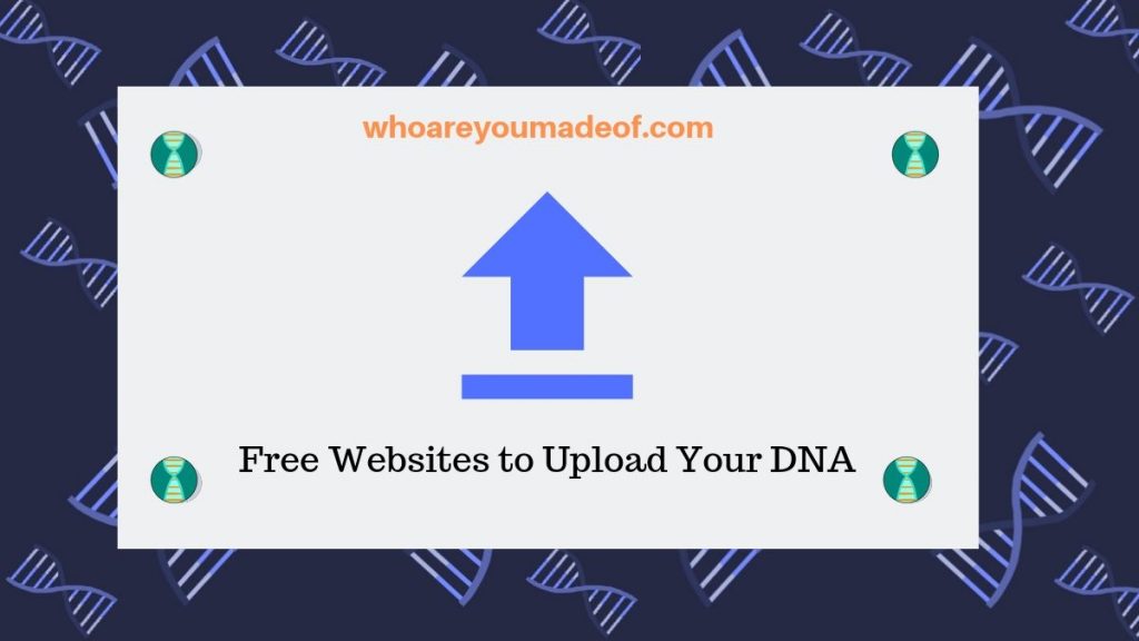 What is Overlap on Gedmatch? - Who are You Made Of?