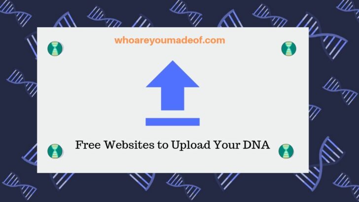Free Websites to Upload Your DNA