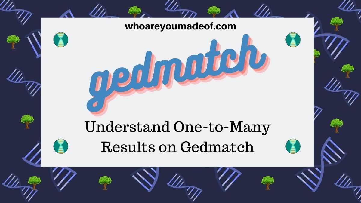 Understand One-to-Many Results on Gedmatch