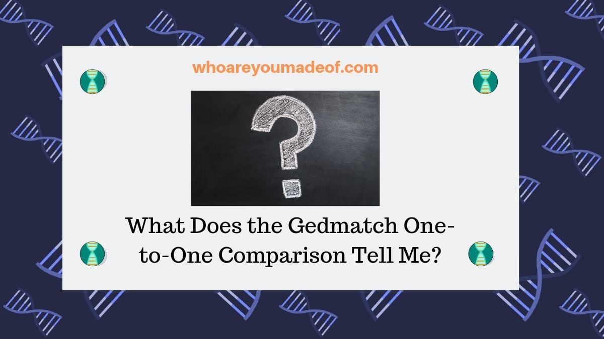 What Does the Gedmatch One-to-One Comparison Tell Me_