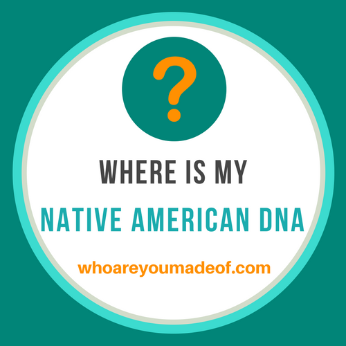 why didn't any Native american DNA show up in my results