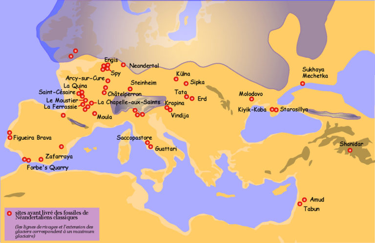 Does The Ancestry DNA Test Show Neanderthal Who Are You Made Of   Carte Neandertaliens1 768x499 