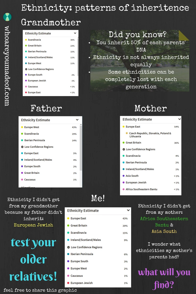 Ethnicity: patterns of inheritence