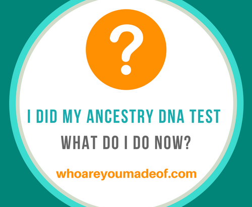 I did my Ancestry DNA Test - What Do I Do Now_