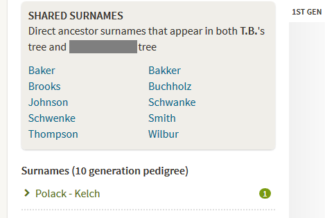Example of surnames in common ancestry dna