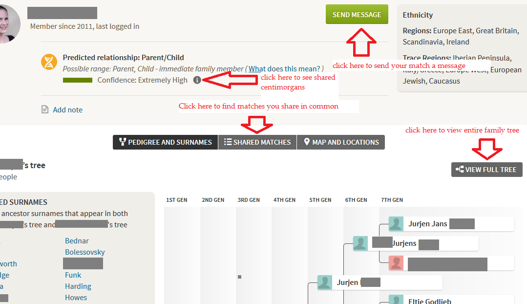 Example of Ancestry DNA match profile