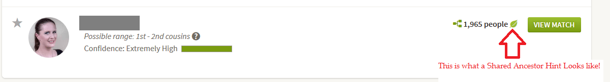 Example of a Shared Ancestor Hint in DNA match list