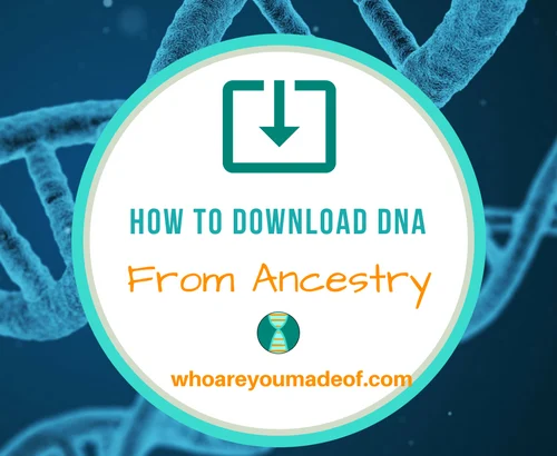 How to Download DNA From Ancestry
