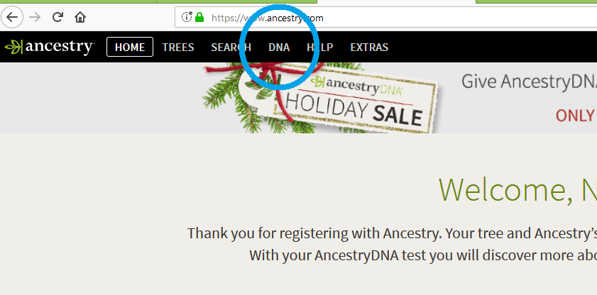 How to get to main DNA results page Ancestry
