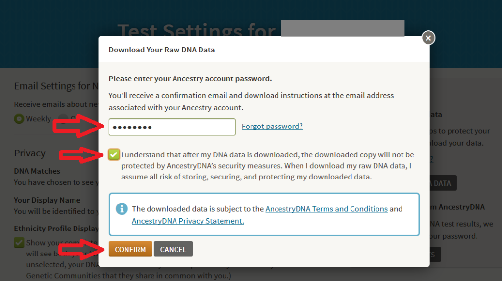 filesafe rw file safe link file safe setup