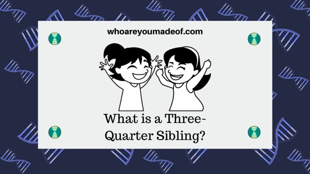 What is a Three Quarter Sibling?