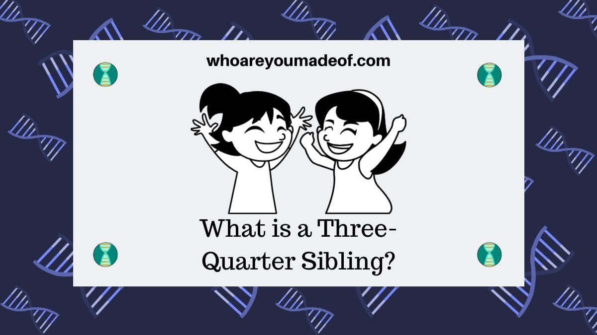 Three-quarter sibling - ISOGG Wiki