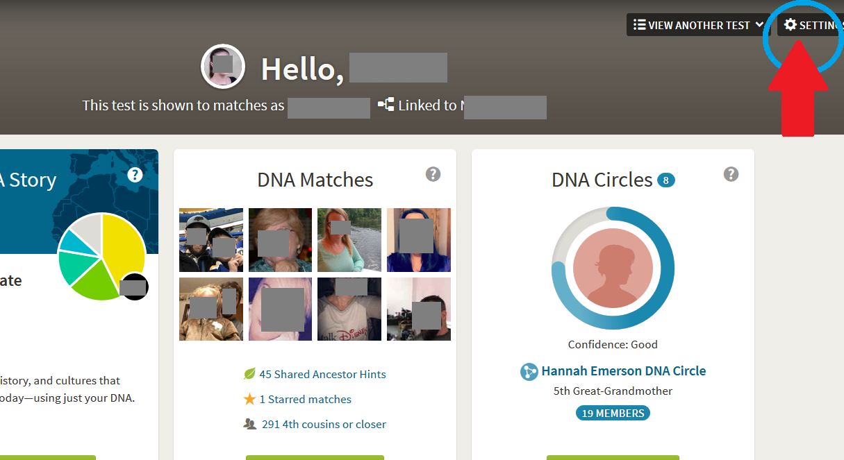 screen capture of Ancestry DNA results overview page, with settings button circled in upper right hand corner of page