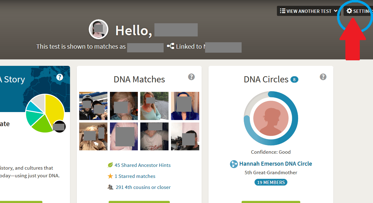 how to access DNA test settings on Ancestry from the DNA Insights page
