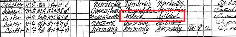 Irish ancestor on census records along with several other entries where their children are listed