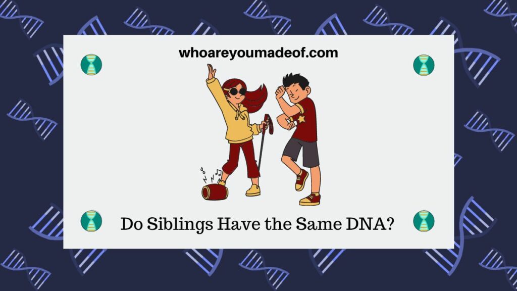 Do Siblings Have the Same DNA?