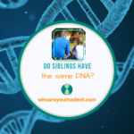 Do Siblings Have The Same DNA? - Who Are You Made Of?