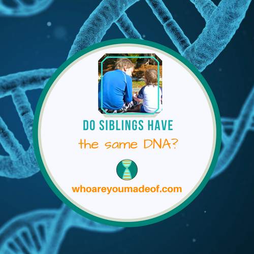 Do Siblings Have the Same DNA_