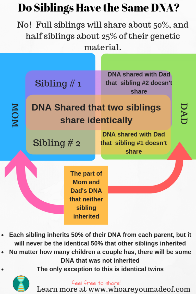 Do Siblings Have The Same DNA? - Who Are You Made Of?