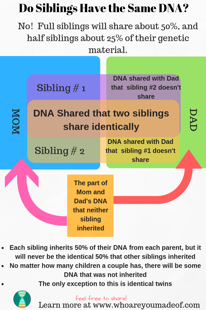 Do Siblings Have the Same DNA_(1)