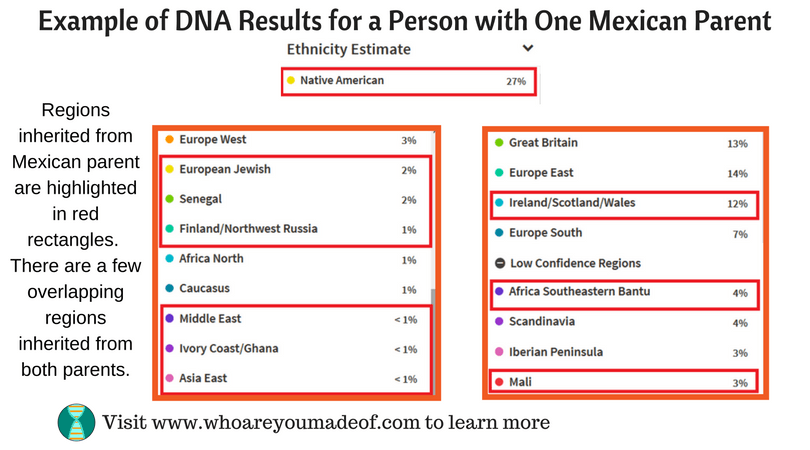 Example of DNA Results for a Person with One Mexican Parent
