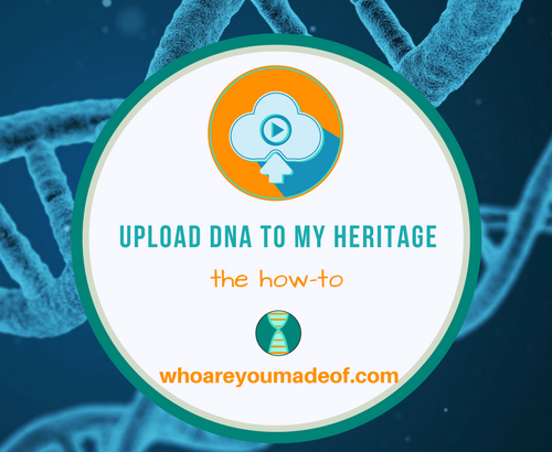 How to Upload to My Heritage DNA