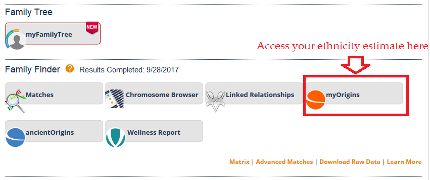 how to access myorigins on FTDNA