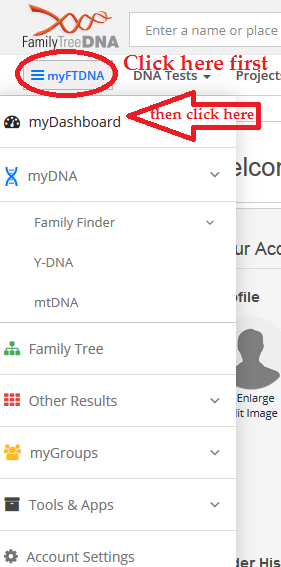 How to access DNA results dashboard FTDNA