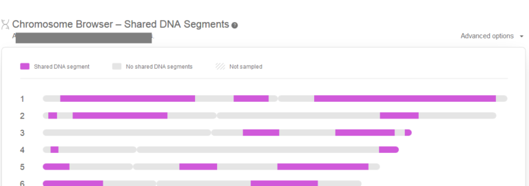 How to Understand My Heritage DNA Results - Who are You Made Of?