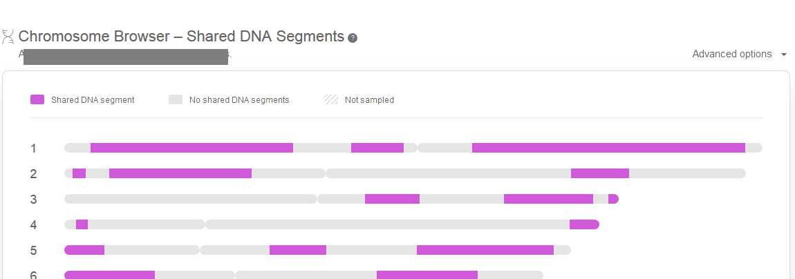 what does the chromosome browser show on my heritage with a dna match