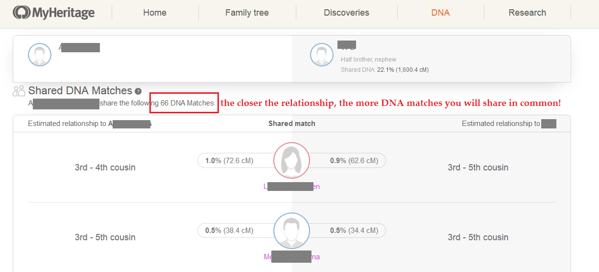 shared matches on my heritage dna