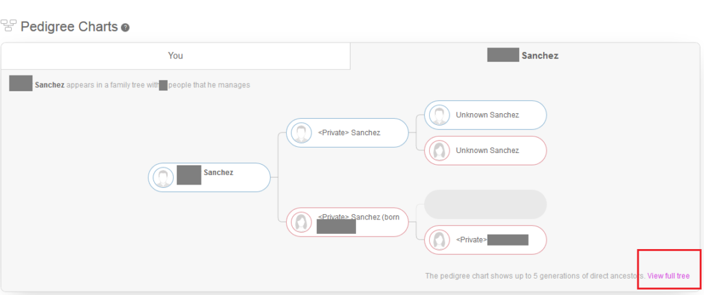 How to Understand My Heritage DNA Results - Who are You Made Of?